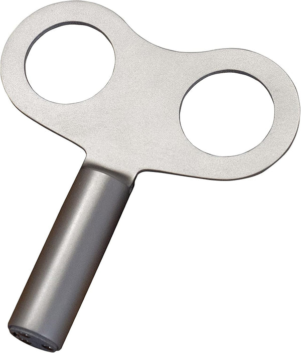 ぜんまいです。